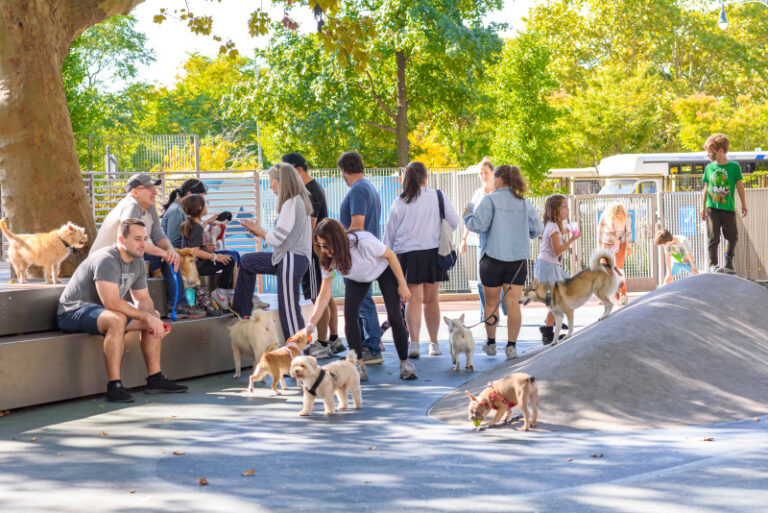 Dogs and people play together at the Chelsea Waterside Dog Park