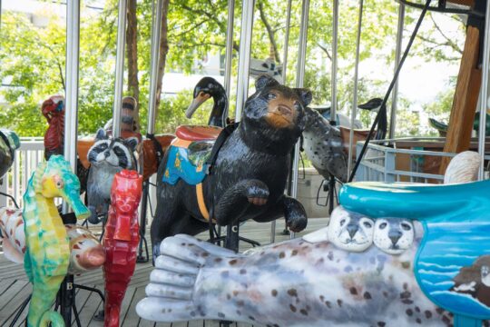 A view of the carousel