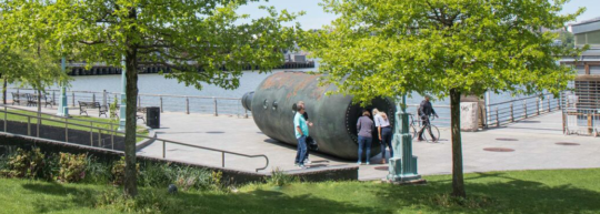 Private Passage and green trees