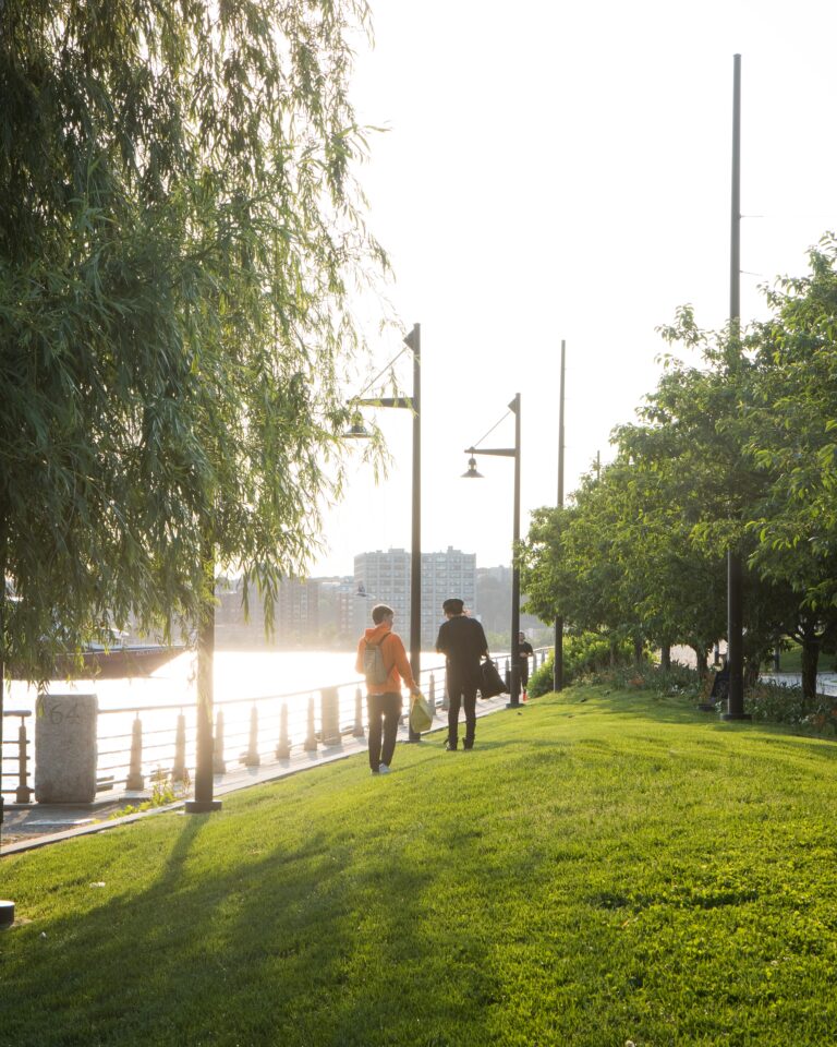 Park visitors enjoy the green lawns at Pier 64