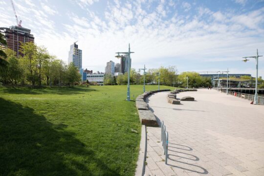 Green lawns in abundance for sunbathers at Pier 63