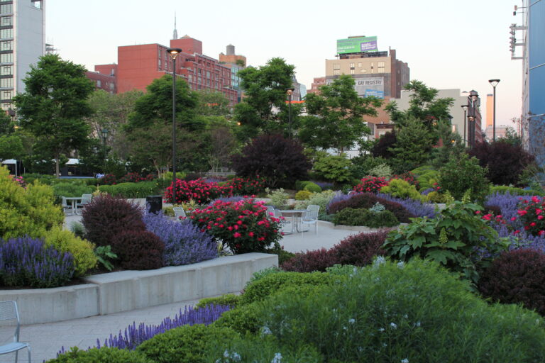 Chelsea Entry Garden Red and Purple flowers
