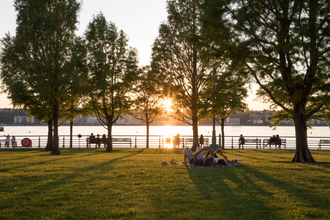 Clinton Cove Hudson River Park