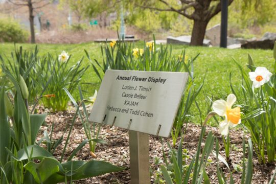 Plaque saying Annual Flower Display