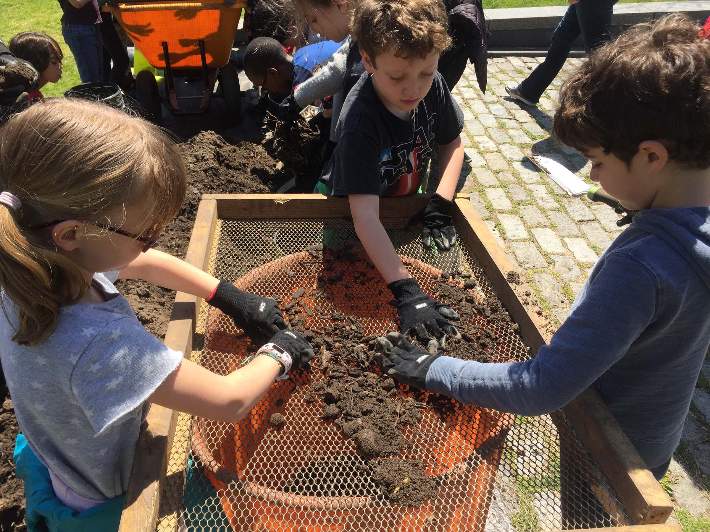 Students looking through the dirt found in the soil at Hudson River Park