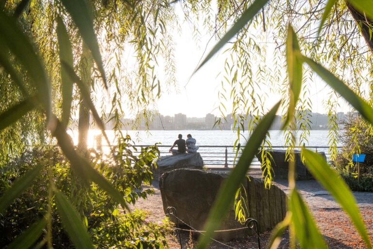 Lush greenery encloses Stonefield and Park visitors can enjoy the sunset and art near Pier 63