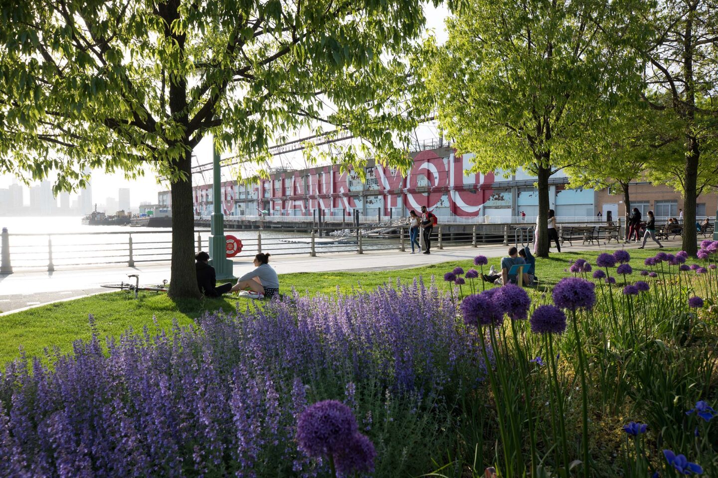 Park visitors enjoy lounging on the lawns in Tribeca in Hudson River Park