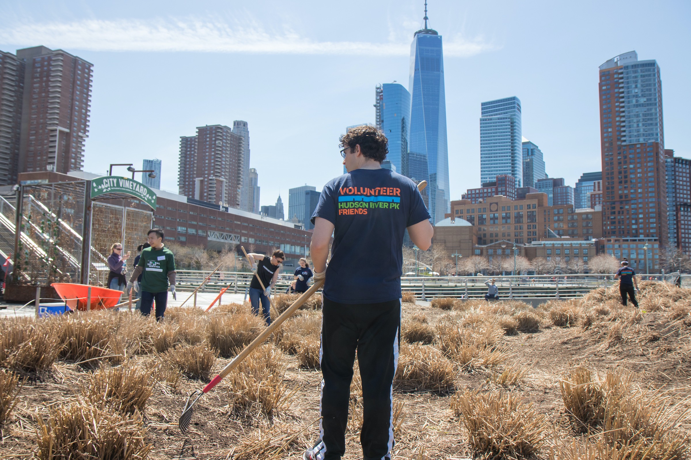 Colunteer gardeners help weed the Parkland