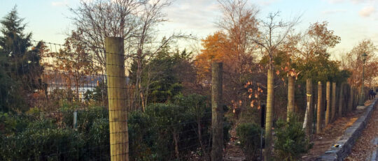 The fence along the bikeway in Hudson River Park
