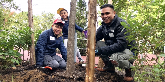 Volunteers help add mulch to the trees in Hudson River Park