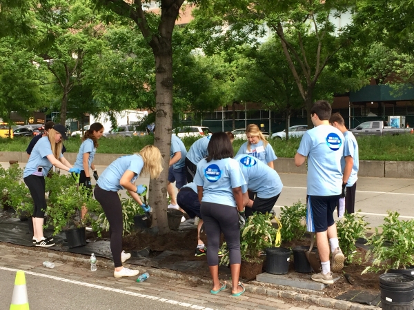 Volunteers help clean out the bikeway buffers so the plants can thrive