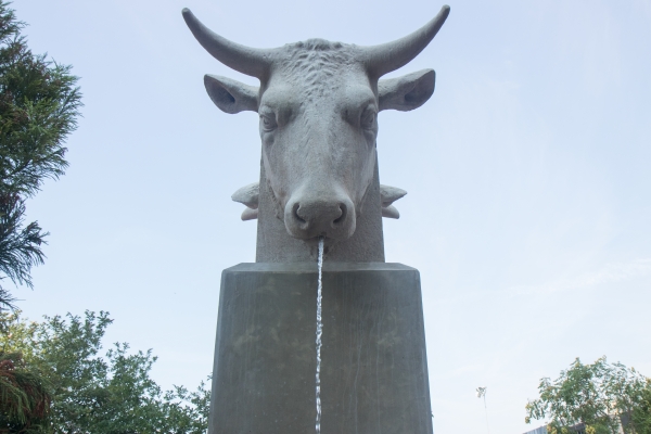 The large limestone cow heads pour water down to the kids in the Chelsea Waterside Play Area