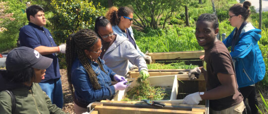 Park volunteers enjoy composting in Hudson River Park