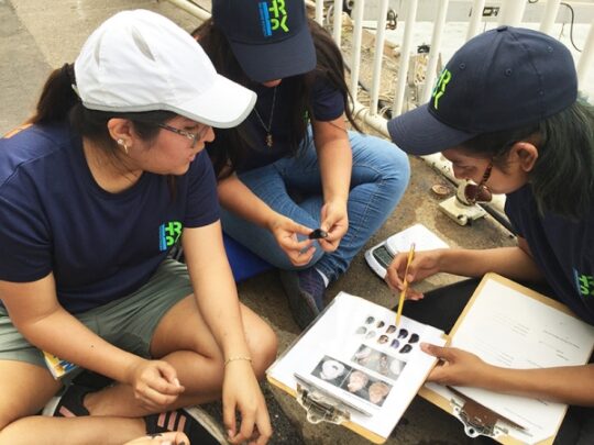 Estuary Lab Promotes Diversity & Inclusion