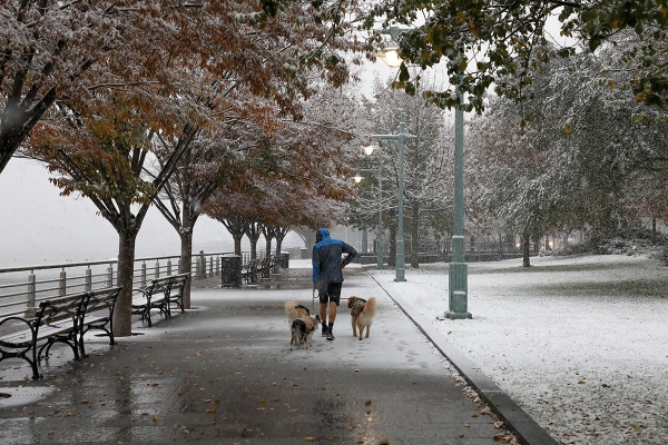 A dusting of white snow falls on the orange and red foliage in Hudson River Park