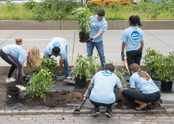 Volunteers from Citi help plant various plants across Hudson River Park