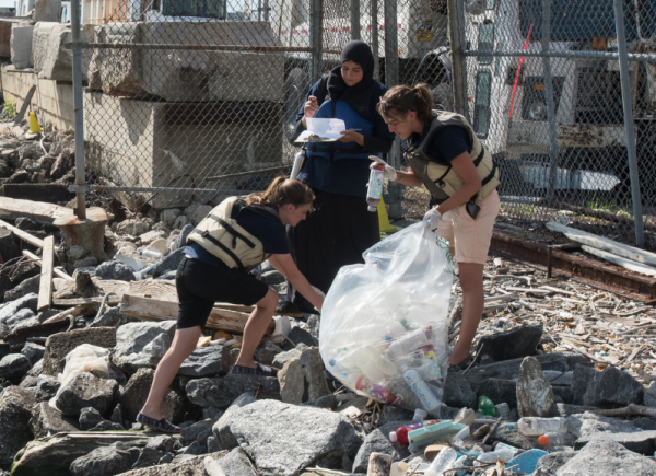 Cleaning up the plastic found throughout Hudson River Park's estuary