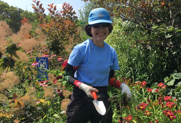 Green team volunteers help plant in the garden