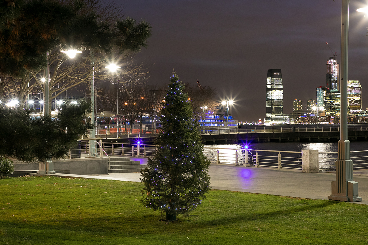 A Christmas tree lit in Hudson River Park