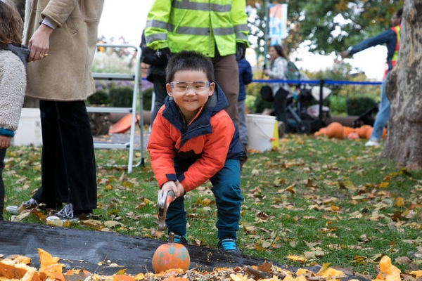 A young child enjoys smashing the little pumpkin to be placed in compost