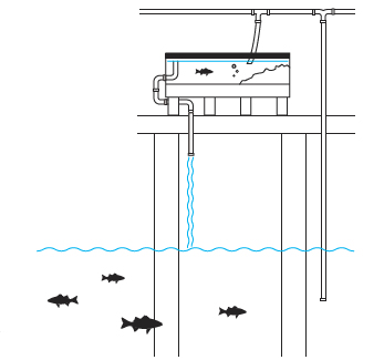 A rendering of the tanks where the river water is sucked up to the aquariums