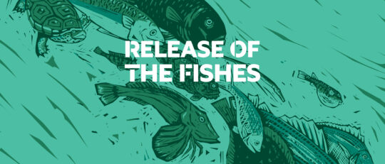 Celebrating Hudson River Wildlife at Release of the Fishes