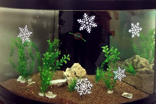 The Trust's aquarium with white snowflake decals on the front