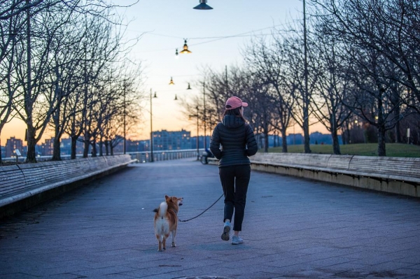 A photo of a dog walker on Pier 64 by @carbonshiba