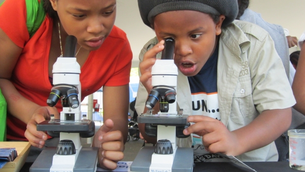 Two eager scientists look through their microscopes at plankton