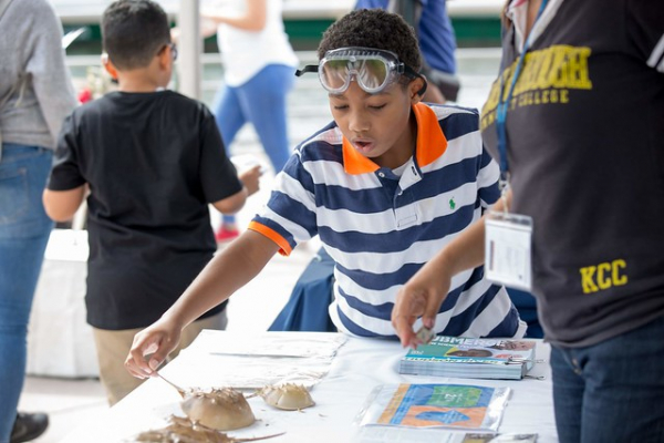 An excited child learns and touches horseshoe crabs at Submerge in Hudson River Park