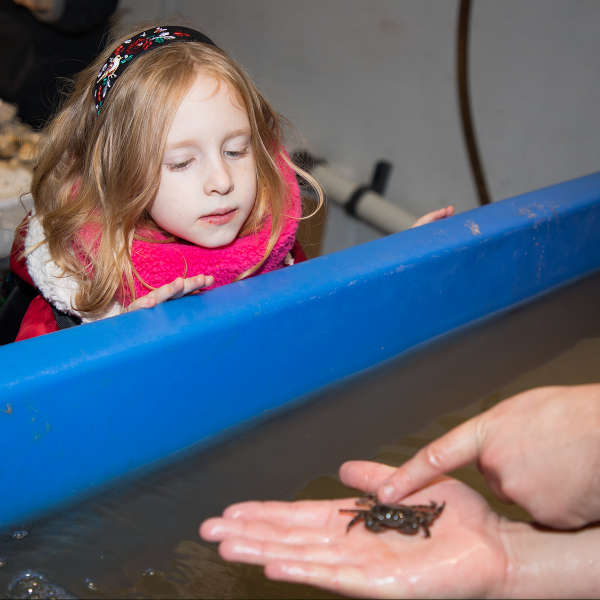 A small crab sits on a hand as a young girl looks on