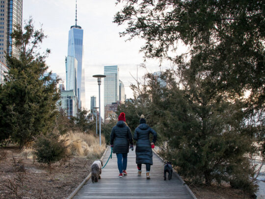 Discover HRPK’s Winter Gems