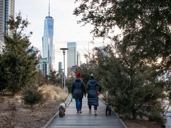 Two walkers and their dog stroll the Tribeca Boardwalk in Hudson River park