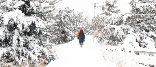 Snowy walk in Hudson River Park