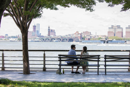 A man proposes with a dedication plaque on a park bench