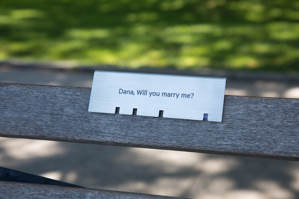 The metal plaque on the park bench states "Dana, will you marry me?"