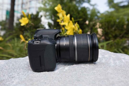 A black camera with a grey stripe around the lens sits on a white stone in Hudson River Park