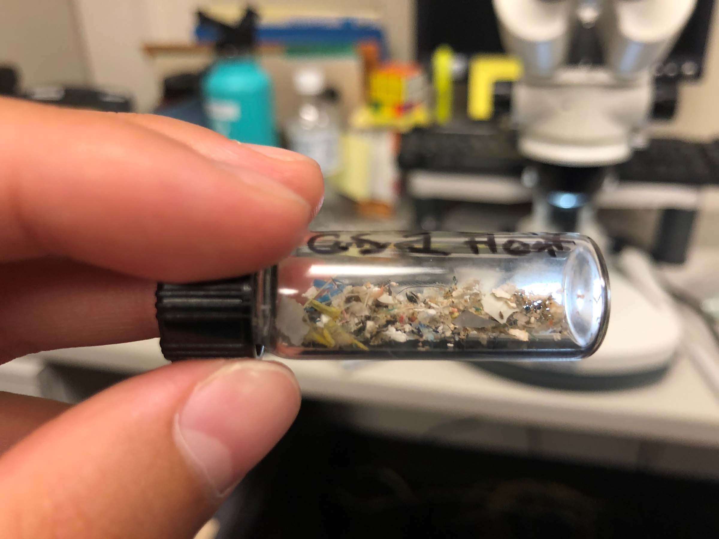 Hands holding a vial containing microplastics Hudson River Park