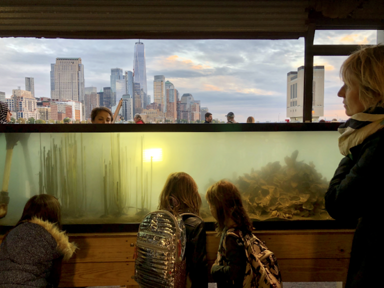A group of Park visitors enjoy looking at the fish in the wetlab aquarium on Hudson River Park's Pier 40