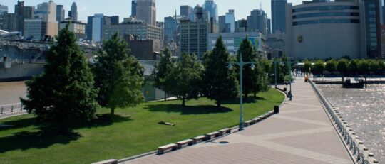 Trees align the green lawn at Pier 84 in Hudson River Park