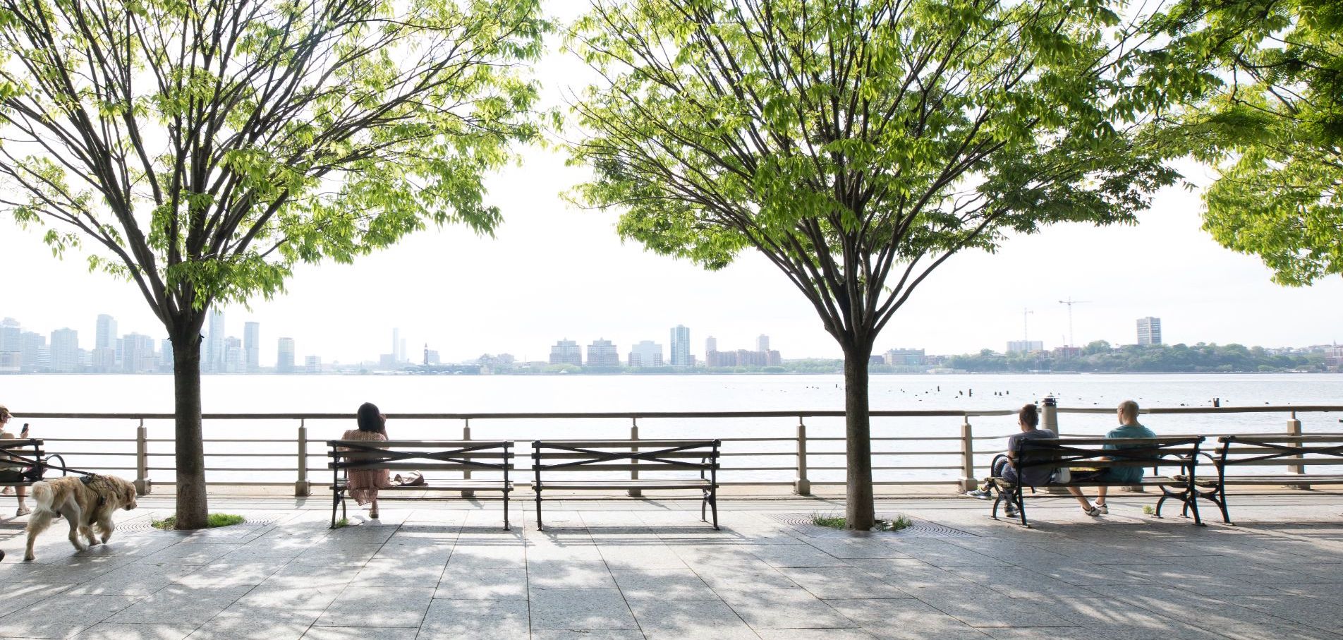view to the Hudson River with benches