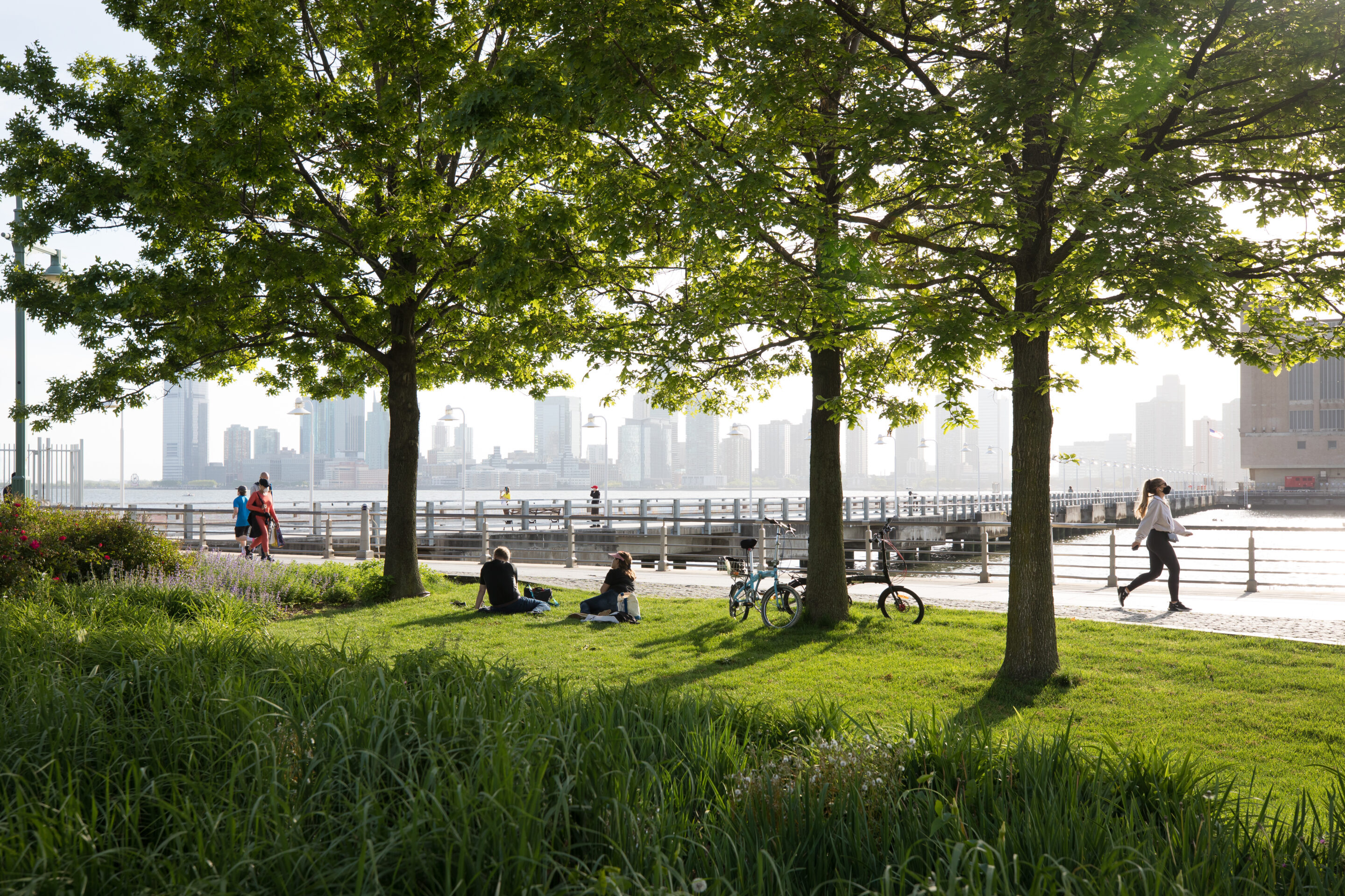 Tribeca Upland lush and green with patrons sitting on the grass
