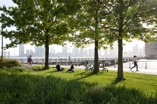 Tribeca Upland lush and green with patrons sitting on the grass