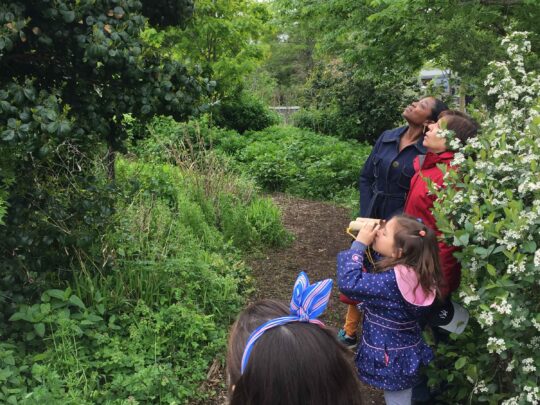 Become a Volunteer Naturalist with Backyard BioBlitz