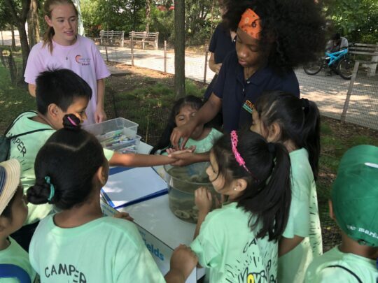 Join HRPK’s Free Virtual STEM Summer Camp