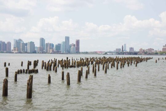 Pier 32 pile field
