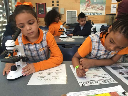 Girls in orange the checkered clothes look through a microscope