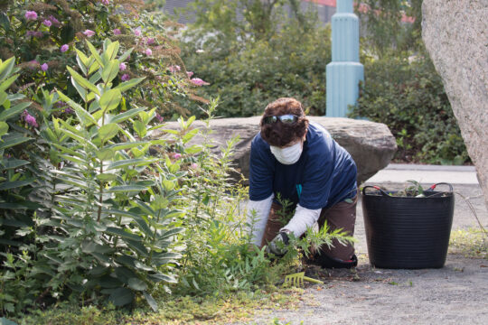 Volunteer in Park mask, safety, phyllis
