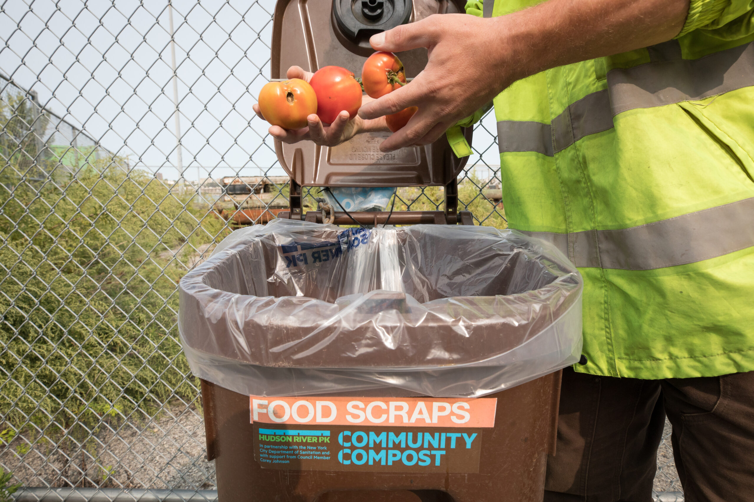 HRPK Compost Drop Off Tomatoes