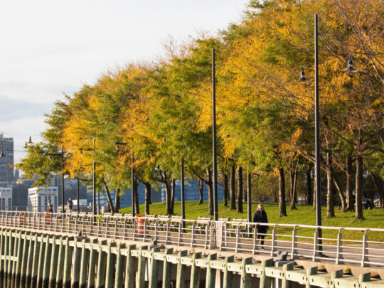 Highlights from a Beautiful Fall in the Park